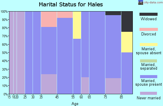 Wood Lake marital status for males