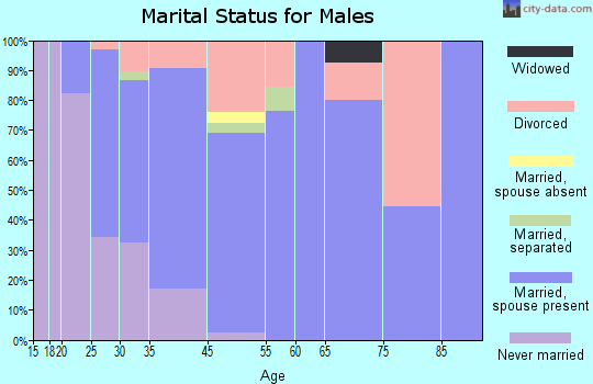 Zimmerman marital status for males
