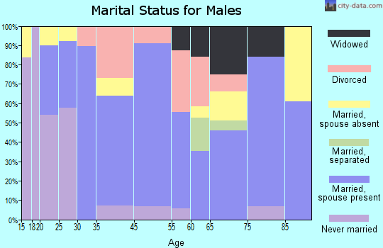 Baldwyn marital status for males