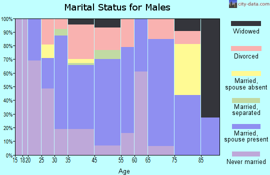 Calico Rock marital status for males