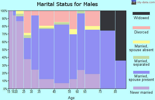 Bay St. Louis marital status for males
