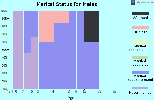 Blue Springs marital status for males
