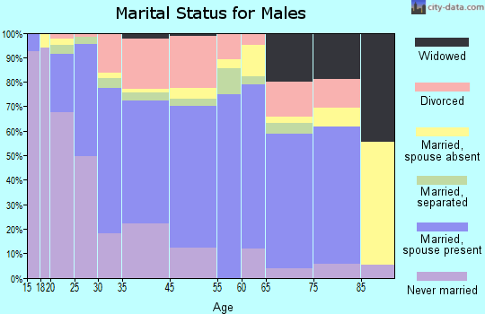 Brookhaven marital status for males