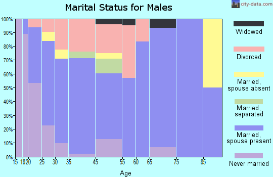 Burnsville marital status for males