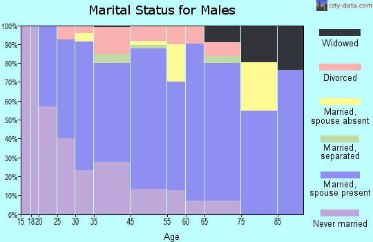 Calhoun City marital status for males