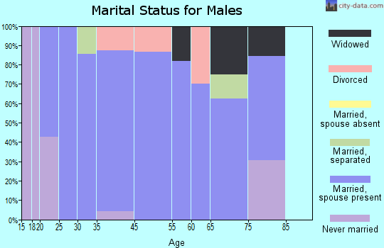 Chunky marital status for males