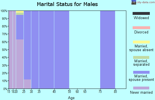 Columbus AFB marital status for males