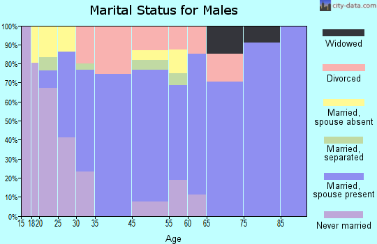 Decatur marital status for males