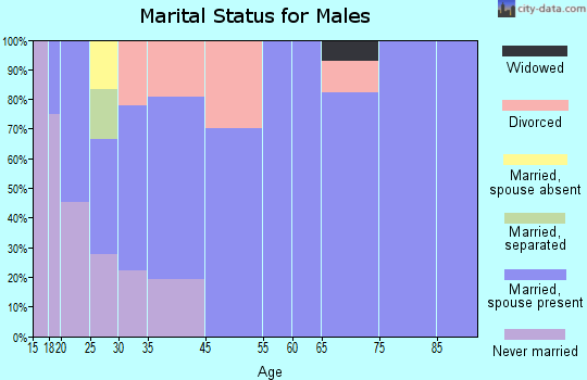 Hickory Flat marital status for males