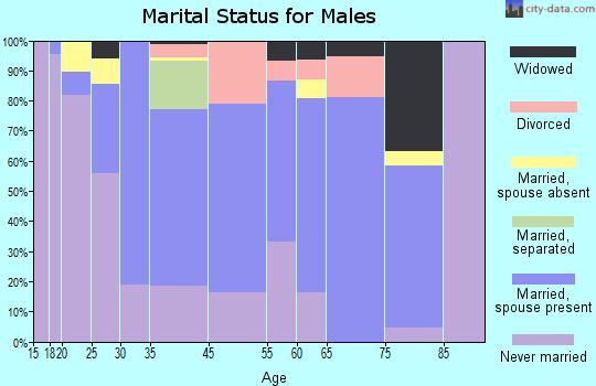 Hollandale marital status for males