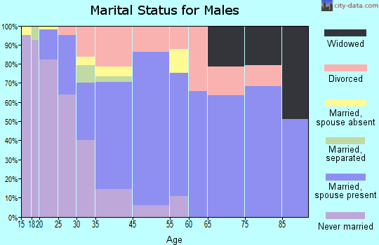 Houston marital status for males
