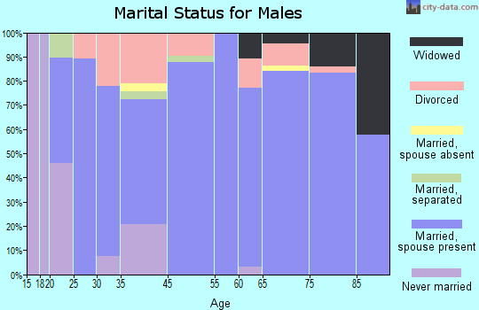 Cherokee Village marital status for males