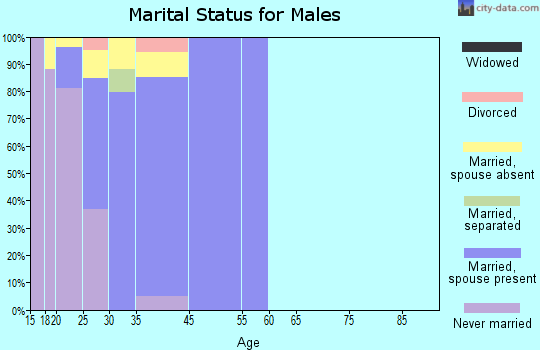 Meridian Station marital status for males