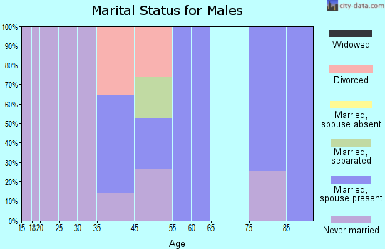 Morgan City marital status for males