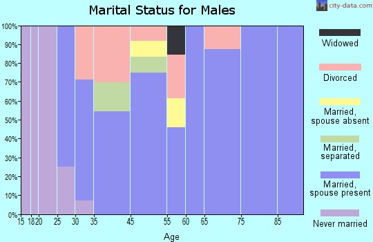 Noxapater marital status for males