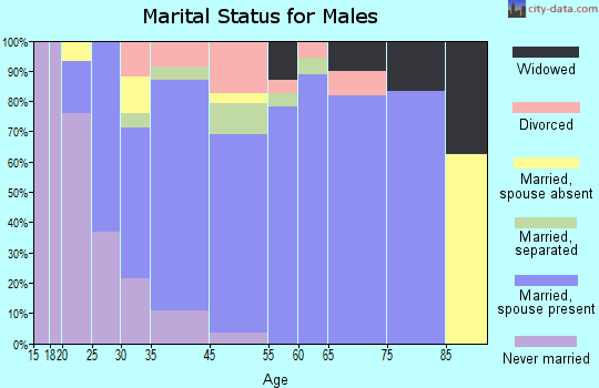 Plantersville marital status for males