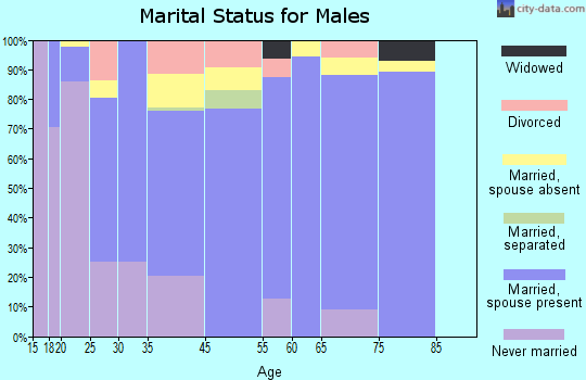 Raleigh marital status for males