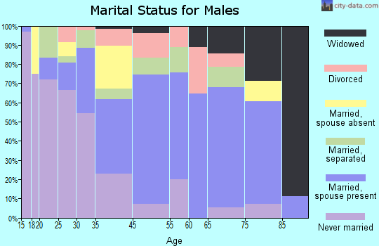 Rolling Fork marital status for males