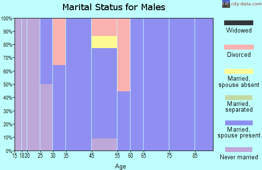 Seminary marital status for males