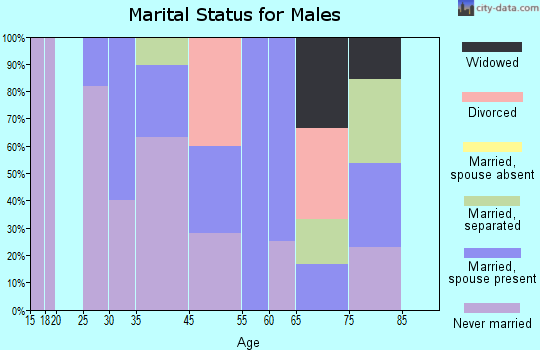 Silver City marital status for males