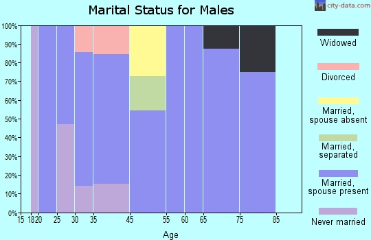 Silver Creek marital status for males