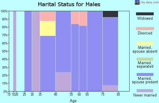 Snow Lake Shores marital status for males