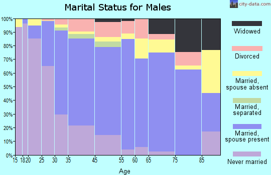 Starkville marital status for males