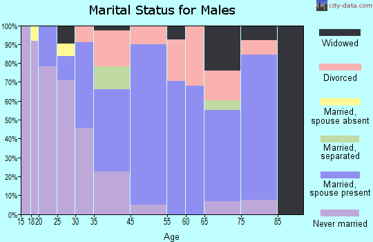 Summit marital status for males