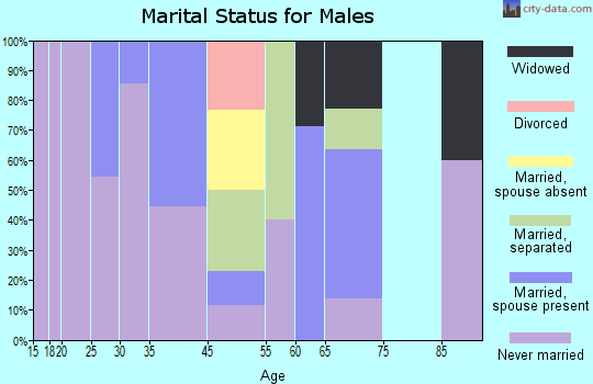 Winstonville marital status for males