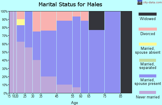 Airport Drive marital status for males
