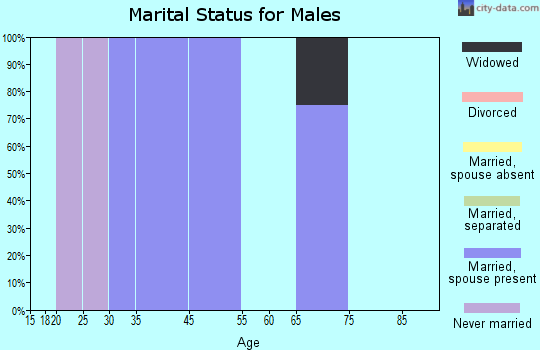Amity marital status for males