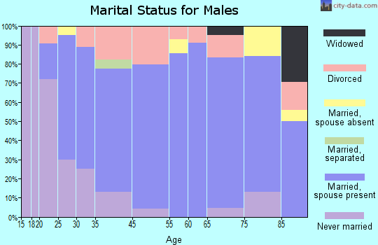Appleton City marital status for males