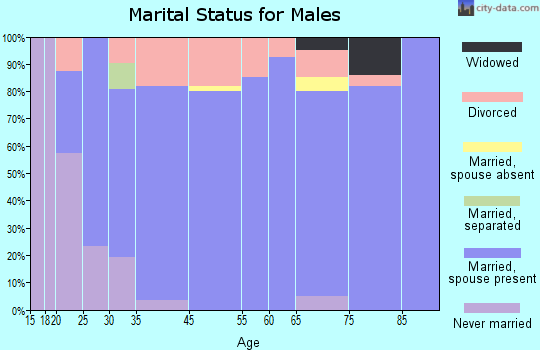 Ash Grove marital status for males