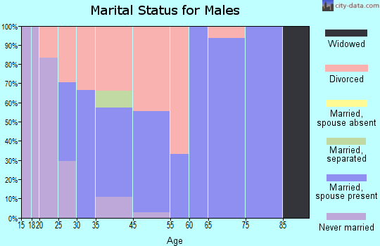 Avondale marital status for males