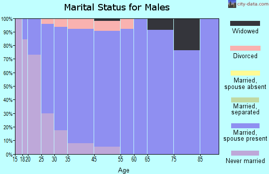 Battlefield marital status for males