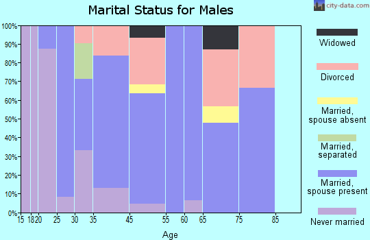 Birch Tree marital status for males