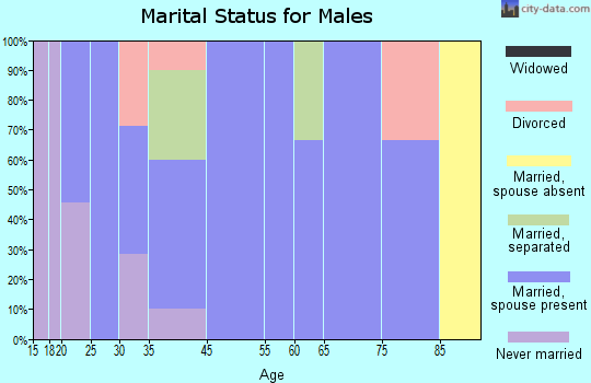 Birmingham marital status for males