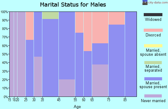 Damascus marital status for males