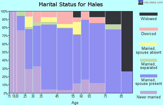 Bloomfield marital status for males