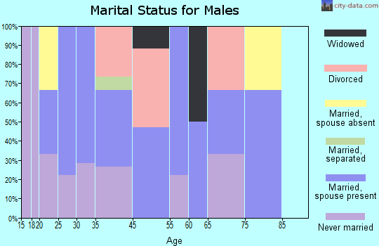 Blythedale marital status for males