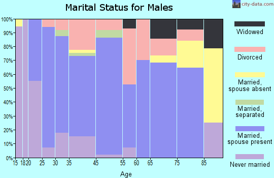 Bonne Terre marital status for males