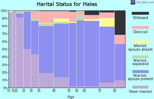 Bridgeton marital status for males