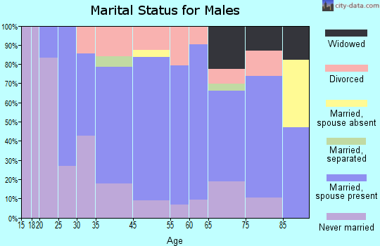 Brunswick marital status for males