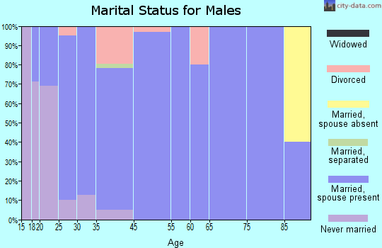 Burlington Junction marital status for males