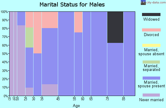 Cairo marital status for males