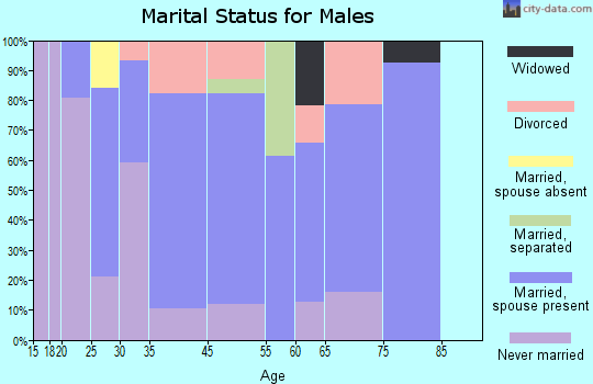 Calverton Park marital status for males