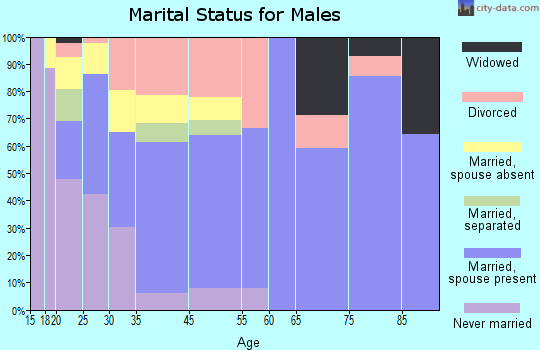 Camdenton marital status for males