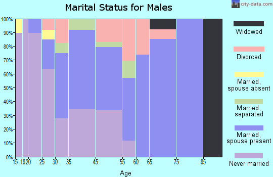 Castle Point marital status for males
