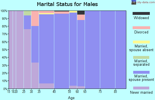 Clarkson Valley marital status for males