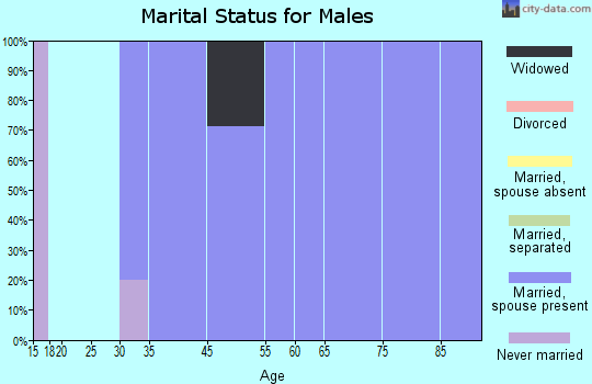 Coney Island marital status for males